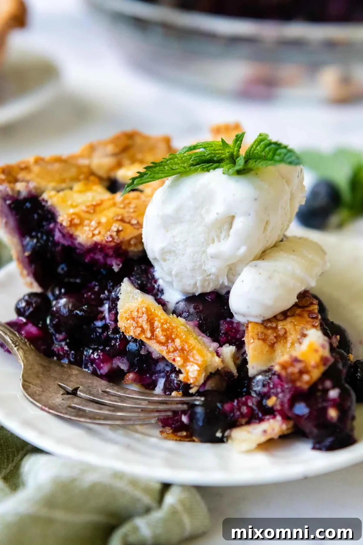 A beautiful slice of gluten-free blueberry pie on a white plate, garnished with a scoop of vanilla ice cream and a fresh sprig of mint.