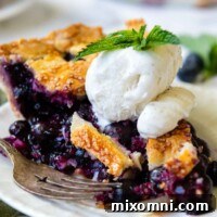 A slice of blueberry pie on a white plate with ice cream and a sprig of mint on top.
