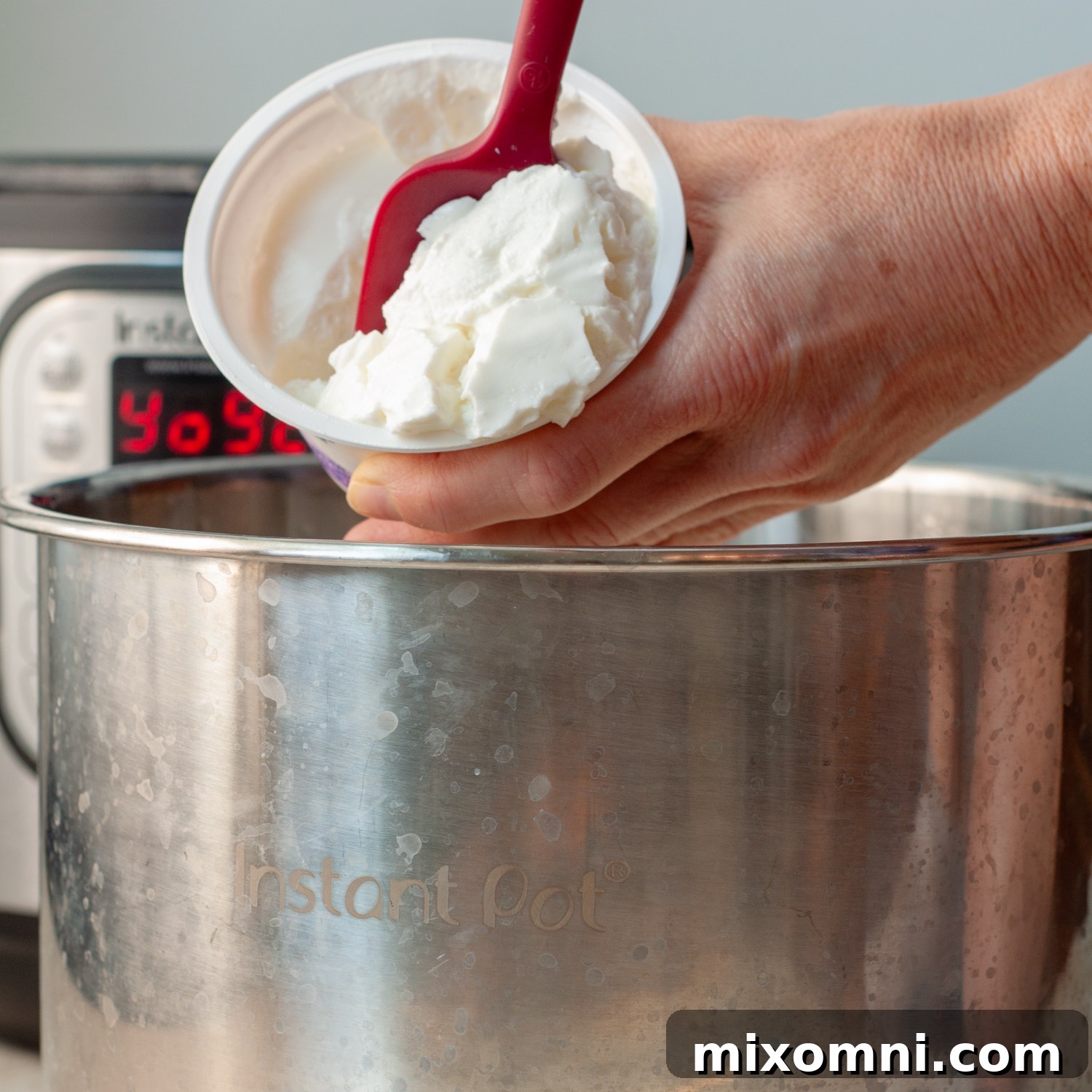 Plain yogurt starter being gently whisked into a pot of cooled milk.