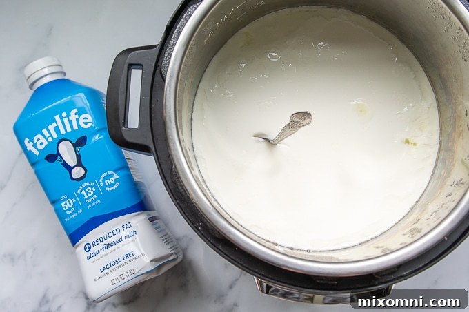 A spoon standing upright in a bowl of thick, no-boil cold start yogurt, demonstrating its firm consistency.