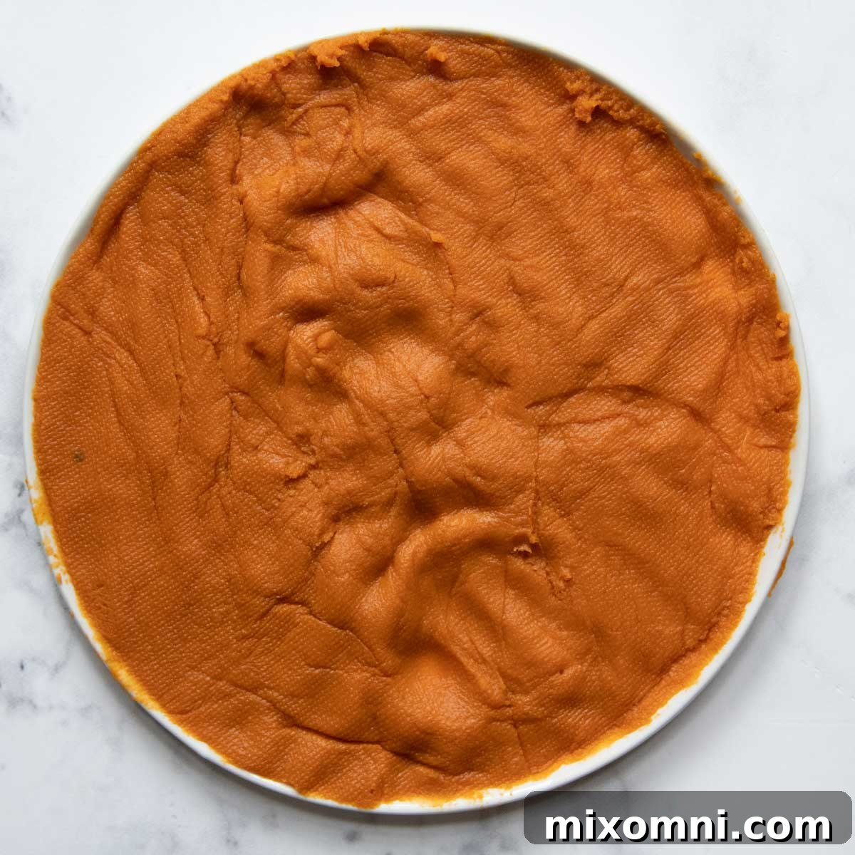 Overhead shot of pumpkin puree being blotted with a paper towel.