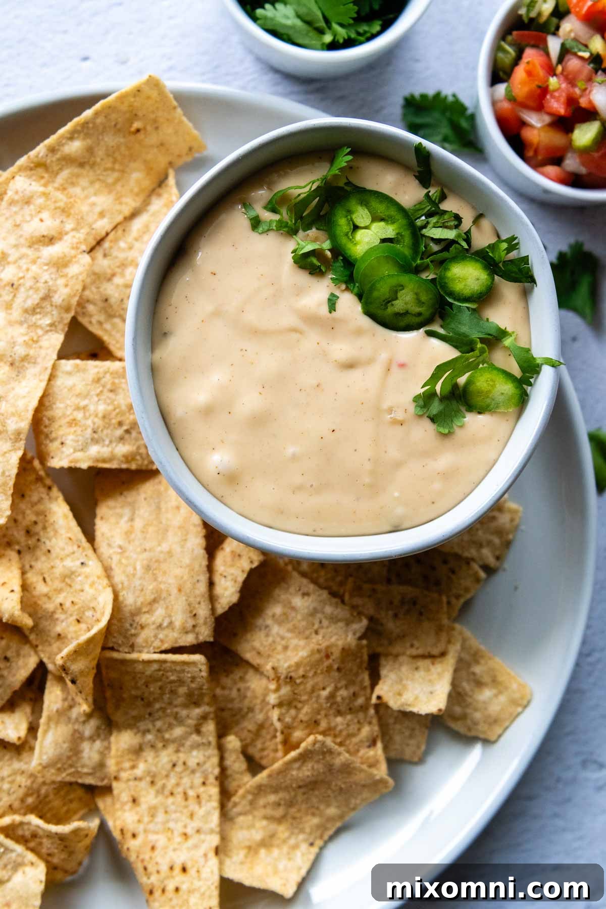Overhead shot of a bowl of gluten-free queso cheese, surrounded by tortilla chips on a rustic plate.