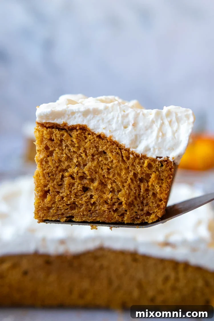 Slice of Gluten-Free Pumpkin Cake topped with fluffy whipped topping being held up with a spatula.