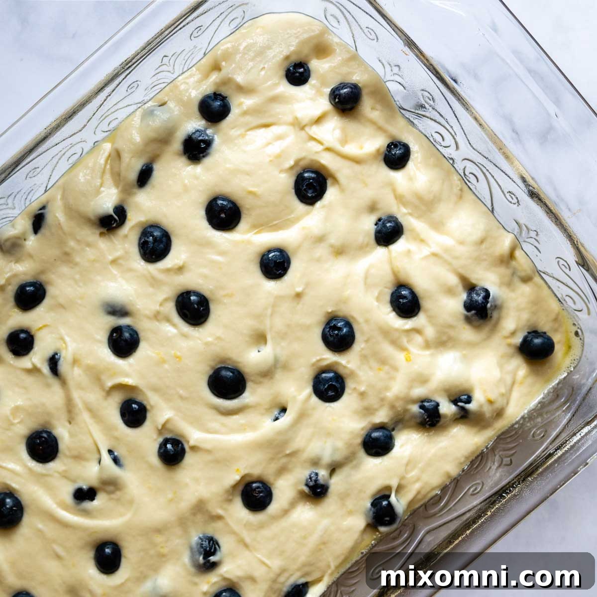 blueberries on top of unbaked cake.