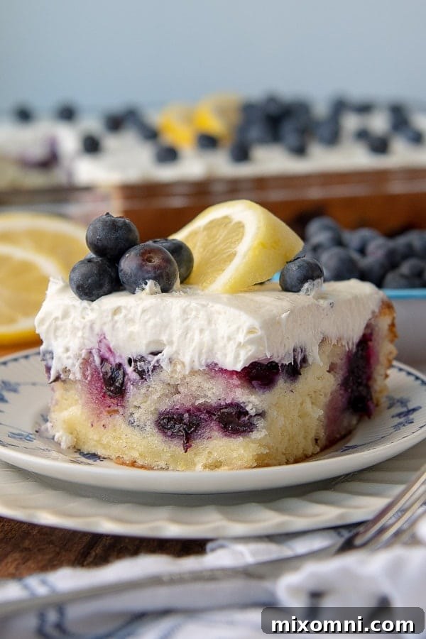 a close up of a cut piece of lemon blueberry cake on a stack of two plates