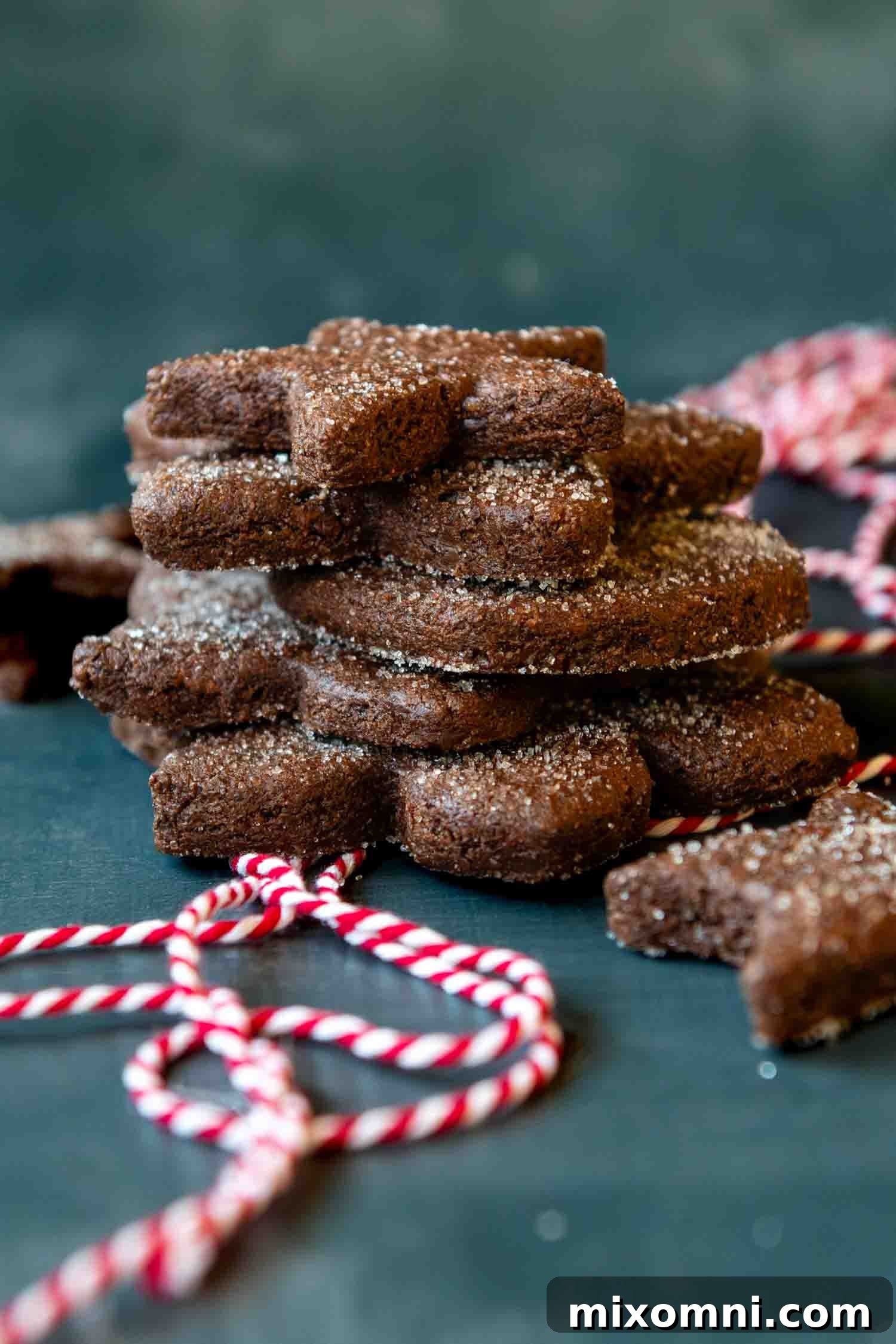 Stack of Basler Brunsli cookies, showcasing their rich color and inviting texture.