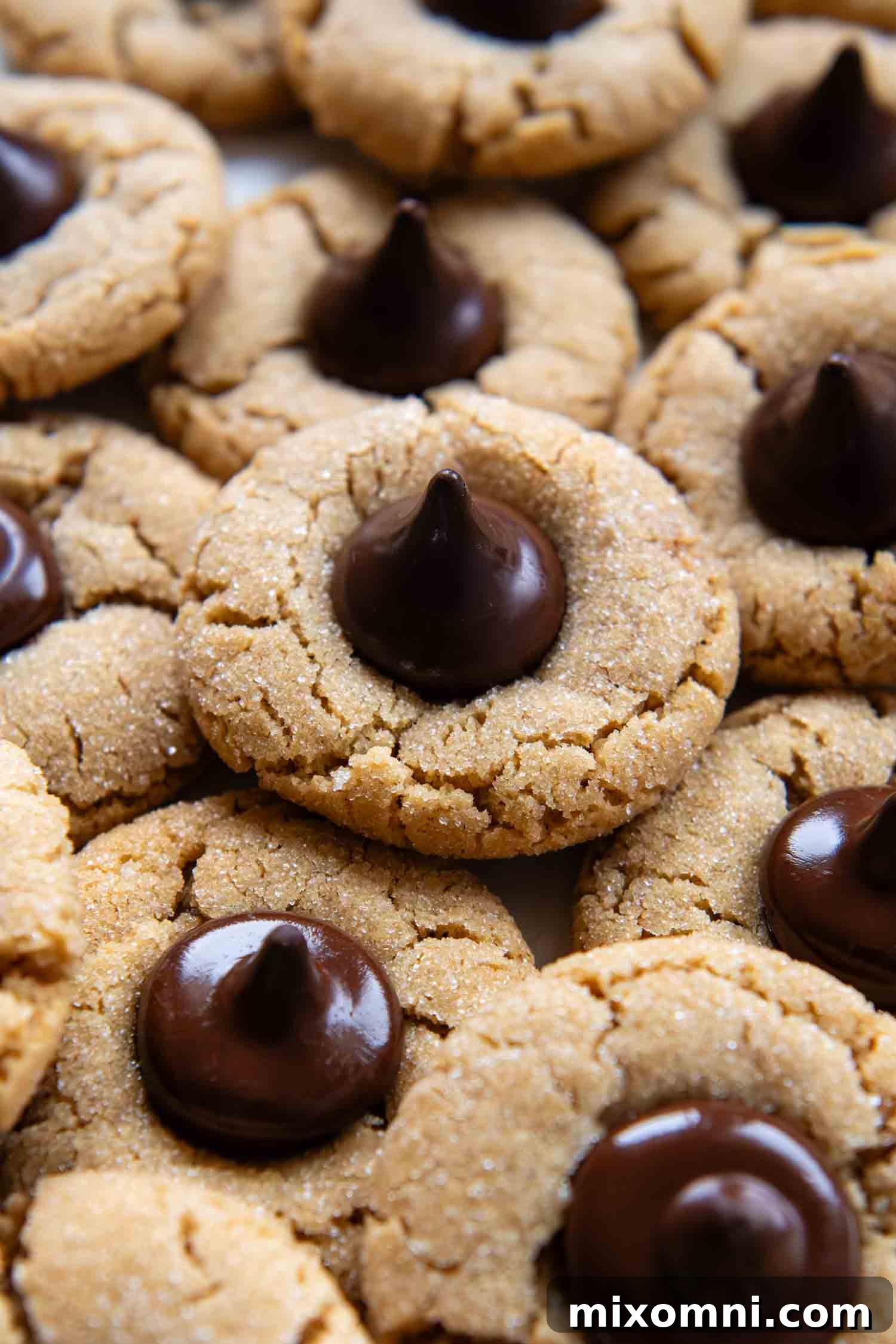 Overhead photo showcasing a vibrant assortment of freshly baked gluten-free peanut butter blossom cookies on a festive holiday platter, some with classic chocolate kisses, others with creative variations.
