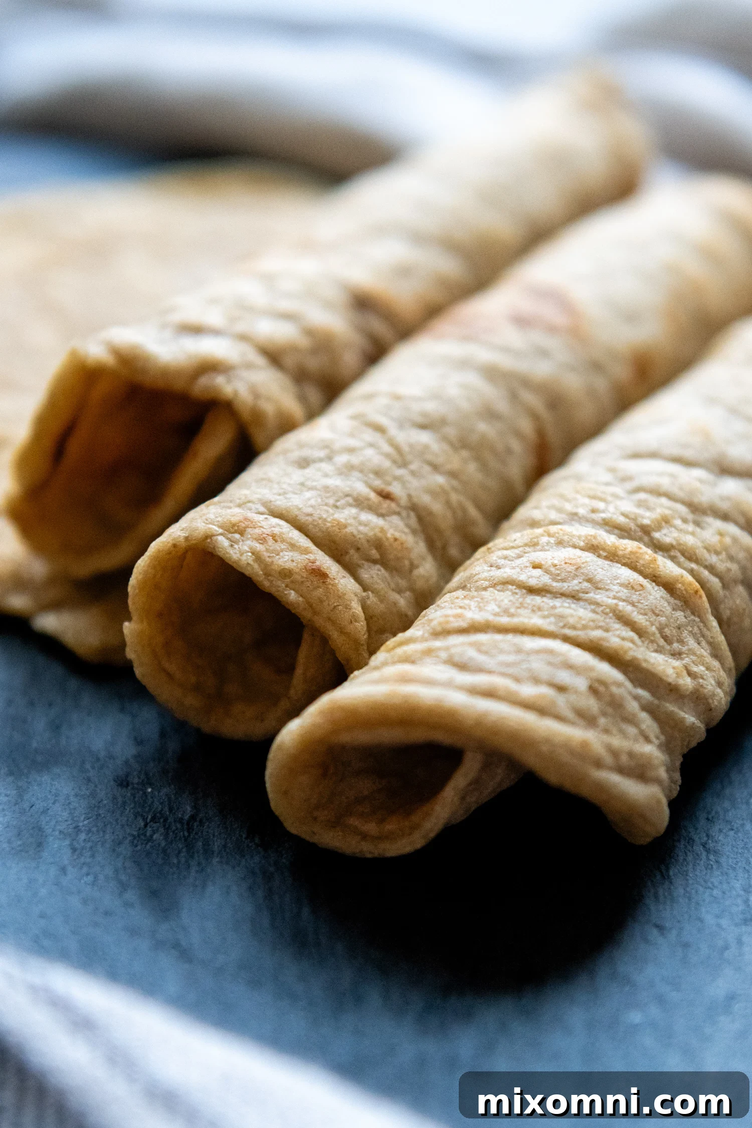 A trio of perfectly rolled, golden-brown oat flour tortillas resting together, inviting a delicious meal.