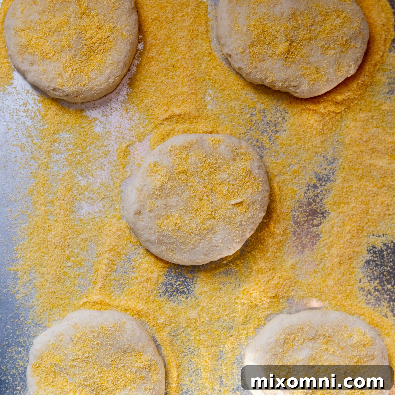 Overhead shot of flattened gluten-free English muffin dough on a baking sheet, sprinkled with cornmeal before rising.