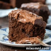 A piece of oat flour chocolate cake on a plate with a fork.