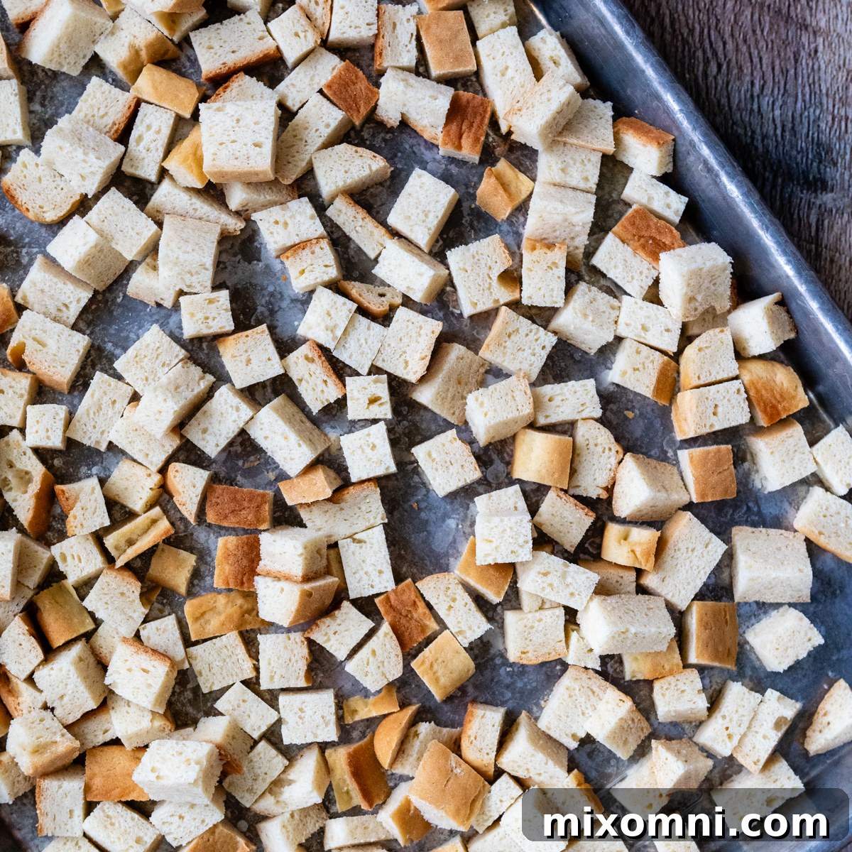 Gluten-free bread cut into uniform ¾-inch cubes and spread out on a baking sheet, ready for seasoning.