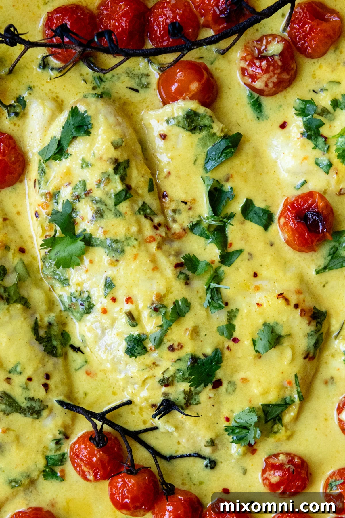 Close up of completed coconut fish recipe, garnished with fresh cilantro and lime.