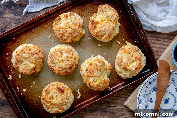 Freshly baked gluten-free cheese scones, golden brown and puffed, cooling on a rack, having been baked close together.