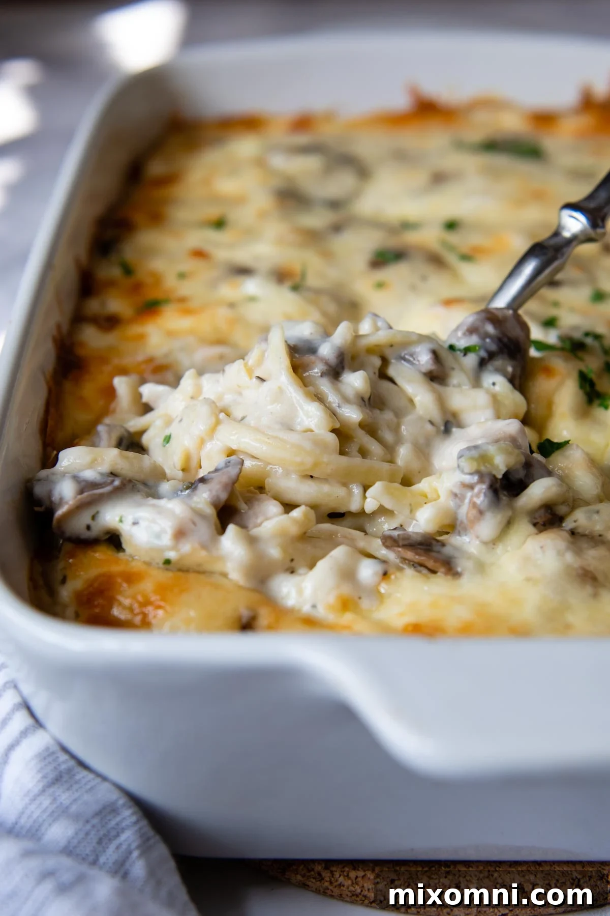 A spoon lifting out a serving of creamy gluten-free chicken tetrazzini casserole from a white baking dish.