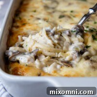 A spoon lifting out a serving of creamy gluten-free chicken tetrazzini casserole.