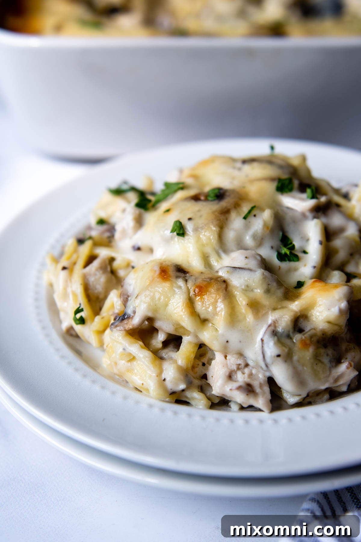 A generous serving of gluten-free chicken tetrazzini on a white plate, showcasing its creamy texture.
