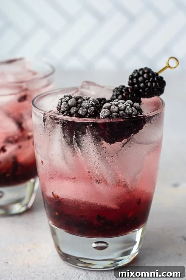 A vibrant blackberry cocktail garnished with fresh berries and a lemon slice, promising a refreshing taste.