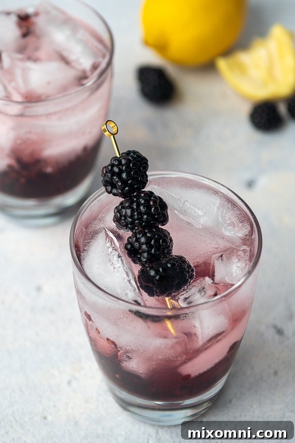 Two perfectly crafted blackberry vodka cocktails, elegantly garnished, with fresh lemons in the background.