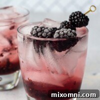 A picture of a blackberry cocktail with fresh berries on a pick sticking out of the glass, representing the Best Fresh Blackberry Cocktail Recipe.
