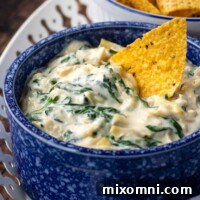 A tortilla chip ready to scoop into a bowl of creamy dip.